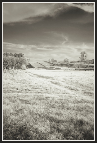 (IR) Roztoczański Park Narodowy #2