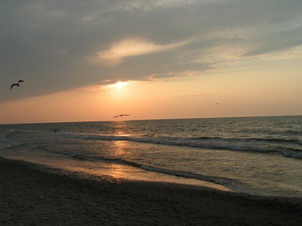 zachodzące słońce na plaży