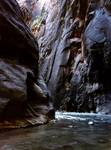 Canyon Narrows, Stan Utah, USA