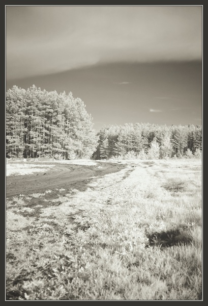 (IR) Roztoczański Park Narodowy #3