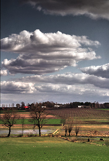 Moje Podlasie