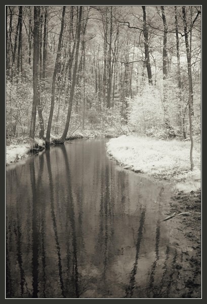 (IR) Roztoczański Park Narodowy #4