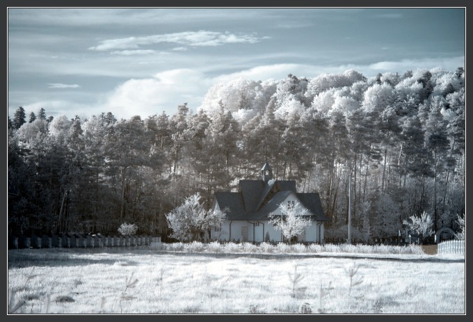 (IR) Roztoczański Park Narodowy #5