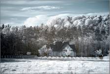 (IR) Roztoczański Park Narodowy #5