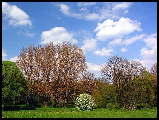 Nadal Września