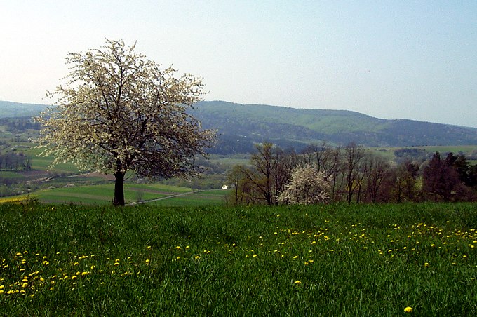 Wiosna 2004