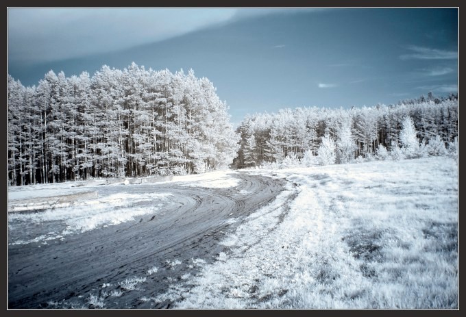 (IR) Roztoczański Park Narodowy #6