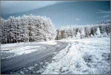 (IR) Roztoczański Park Narodowy #6