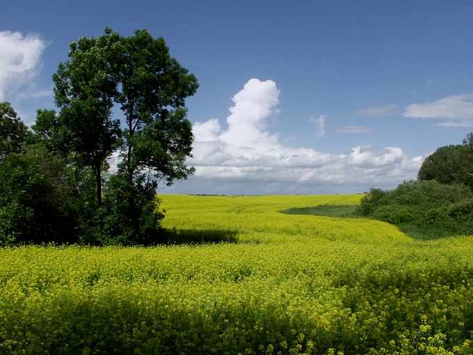 Mazury inaczej