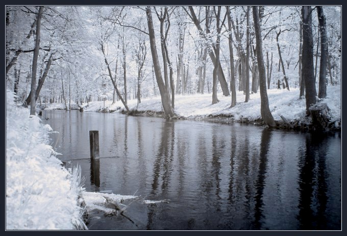 (IR) Roztoczański Park Narodowy #7