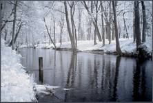 (IR) Roztoczański Park Narodowy #7