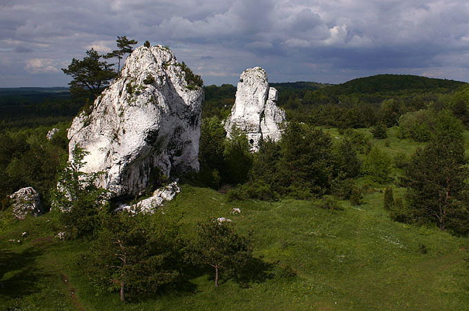 Jurajskie ogródki