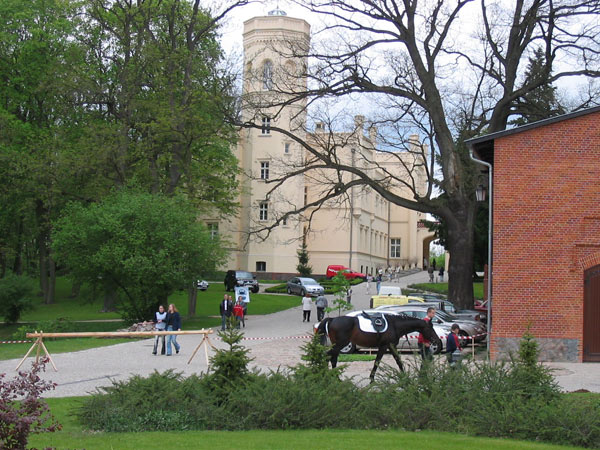 Mierzęcin-Święto Koni