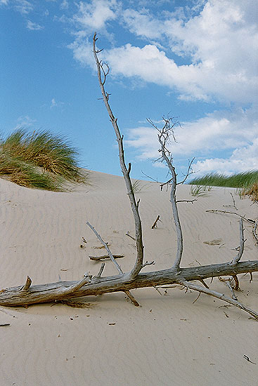 Łebska pustynia