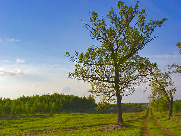 Sielskie skrzyżowanie