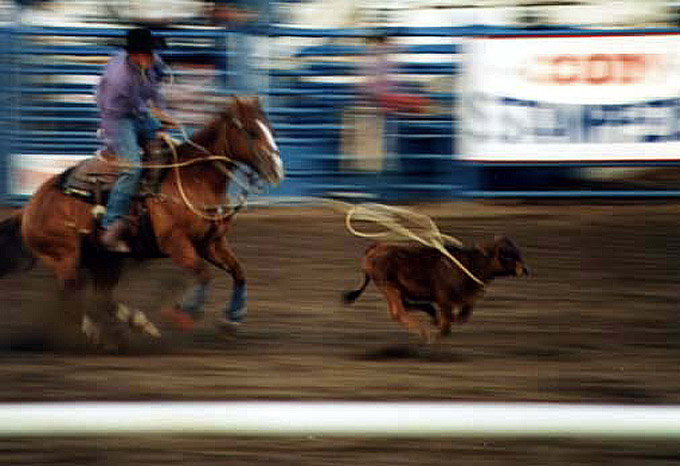 rodeo