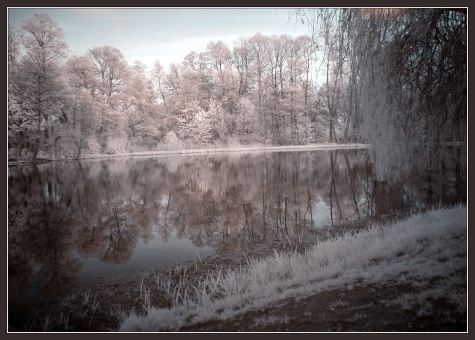 (IR) Roztoczański Park Narodowy #9