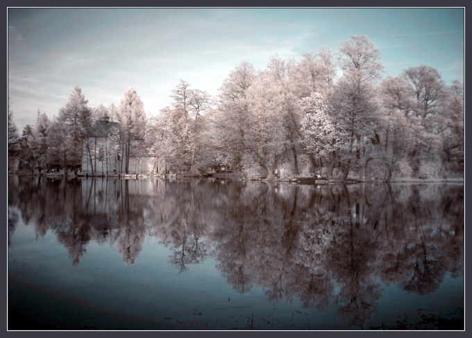 (IR) Roztoczański Park Narodowy #10