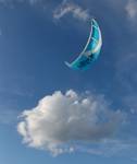 blue kite