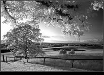 ir sunset