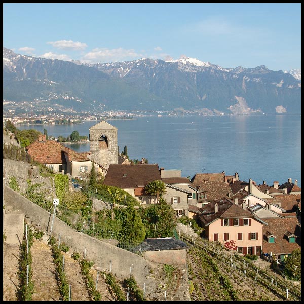 Lavaux 18.05.2004 (II)