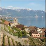 Lavaux 18.05.2004 (II)