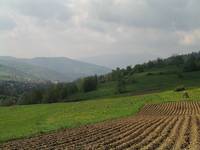 Beskid Żywiecki (2)