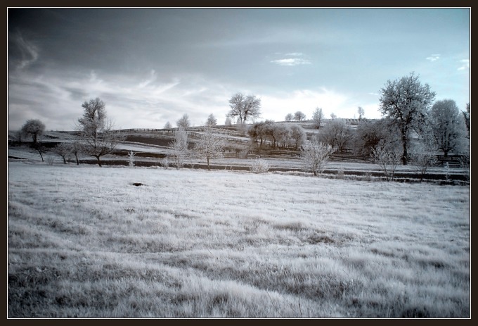 (IR) Roztoczański Park Narodowy #11