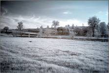 (IR) Roztoczański Park Narodowy #11