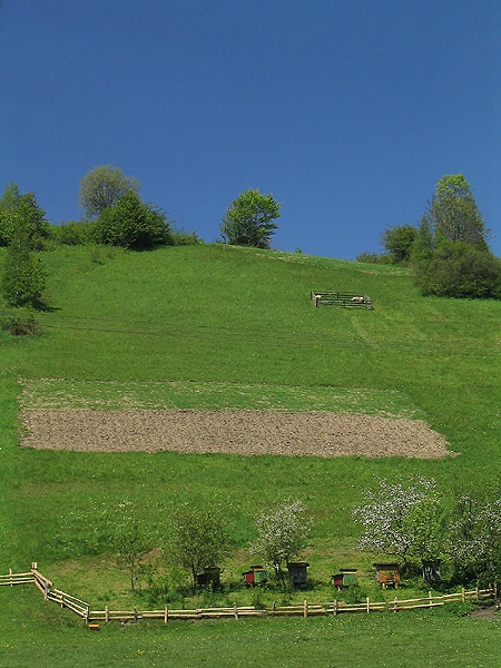 Beskid Żywiecki (3)