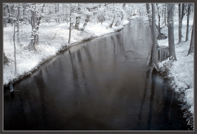 (IR) Roztoczański Park Narodowy #12