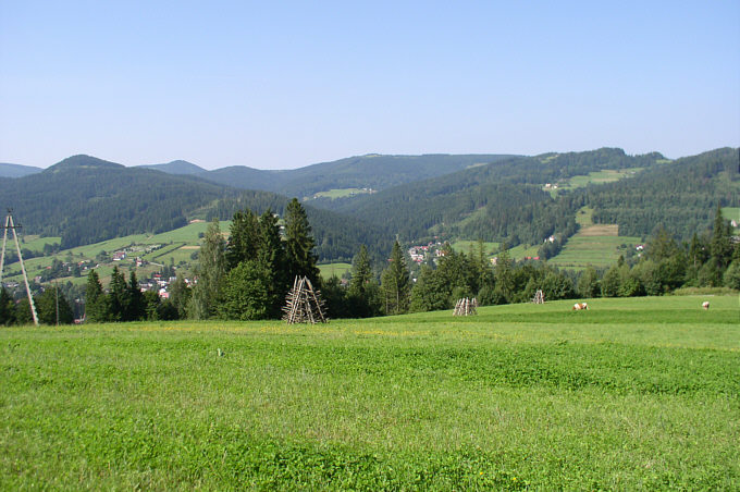 Widoczek