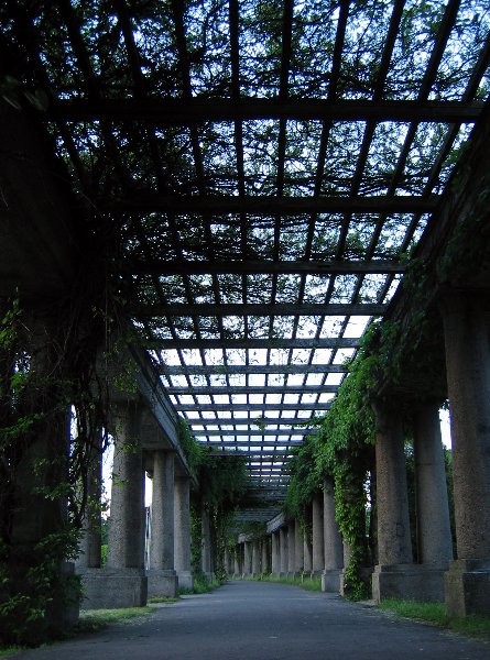 pergola