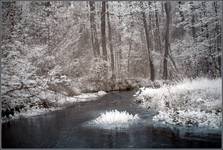 (IR) Roztoczański Park Narodowy #13