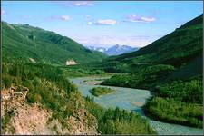 Nenana River