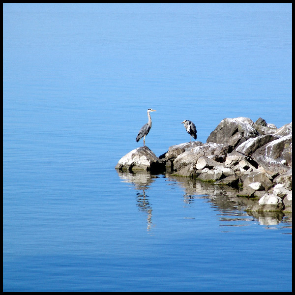 Jezioro Léman (2004)