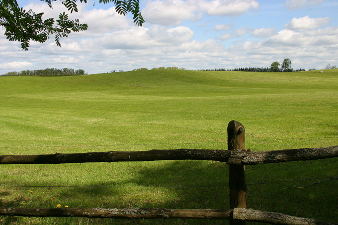 mazurska łąka