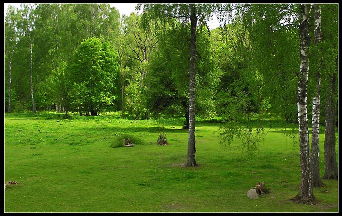 Białowieski Park Narodowy