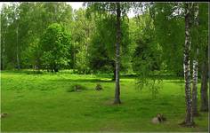 Białowieski Park Narodowy