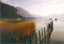 Lac d'Annecy