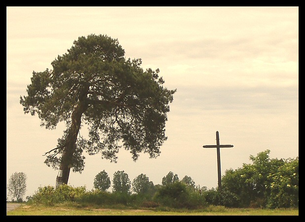 Krzyż