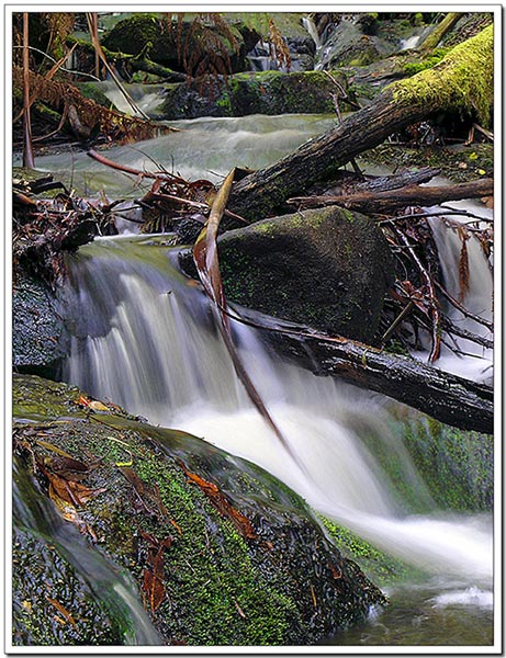 Toronga River