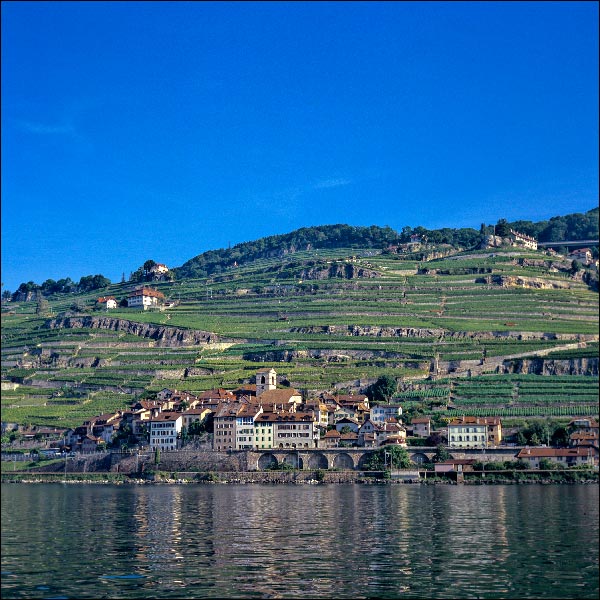 Lavaux (2004)