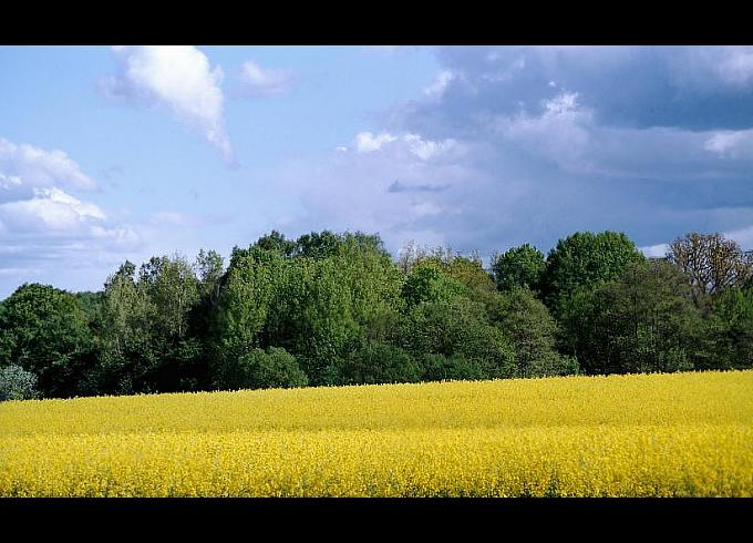 Warmia pod innym kątem...