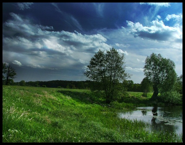 Precz z watą słów