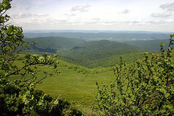 Nasze Bieszczady# 1