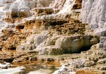 Mammoth Hot Springs- Gorace Zrodla