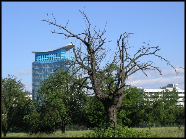 Takie jest zycie...