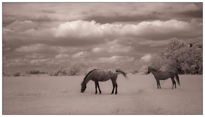 Peaceful landscape