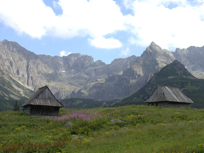 Hala Gąsienicowa